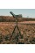 Штатив Vanguard Vesta FB 204ABS (Vesta FB 204ABS)